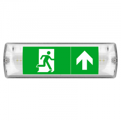 EMERGENCY LED BULKHEAD SWITCHABLE MAINTAINED 5 WATT IP65